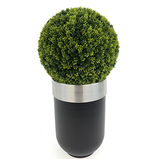 Biçiçek Şimşir Ağacı 90cm Siyah Gümüş Darbuka Saksıda