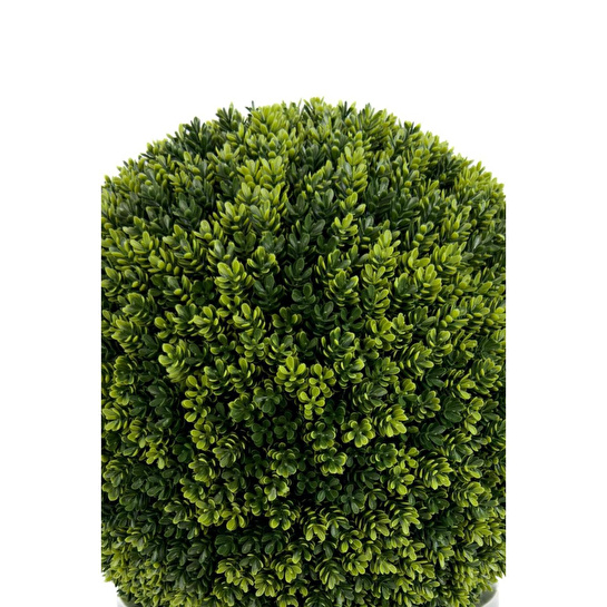 Biçiçek Şimşir Ağacı 90cm Siyah Gümüş Darbuka Saksıda