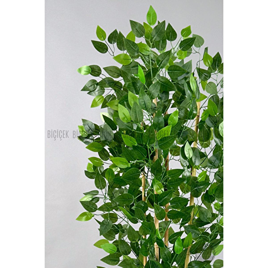 Biçiçek Yapay Benjamin Ağacı 170cm Siyah Şeritli Hasır Saksıda