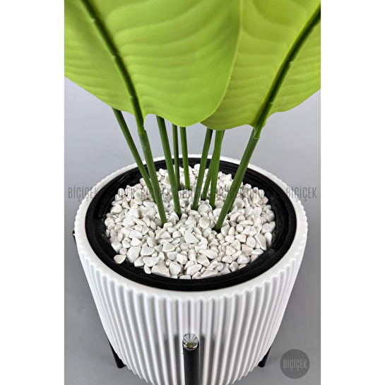 Biçiçek Yapay Muz Ağacı 145-185 Cm Beyaz2