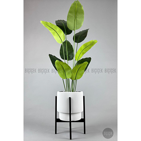 Biçiçek Yapay Muz Ağacı 145-185 Cm Beyaz2
