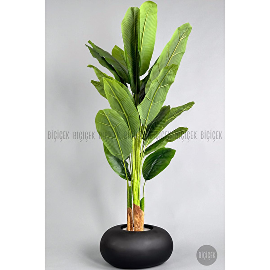 Biçiçek Yapay Muz Ağacı 185-220 Cm Siyah1