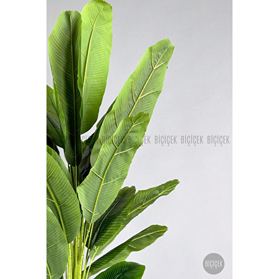 Biçiçek Yapay Muz Ağacı 185-220 Cm Siyah1