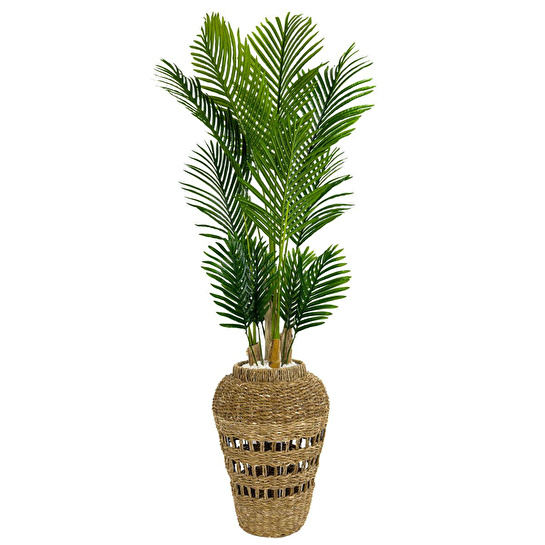 Biçiçek Luxury Areka Palmiyesi 180cm Hasır Saksıda Bohem3