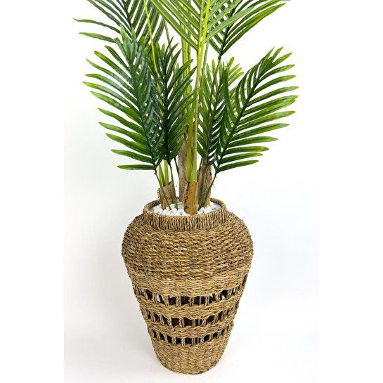 Biçiçek Luxury Areka Palmiyesi 180cm Hasır Saksıda Bohem3