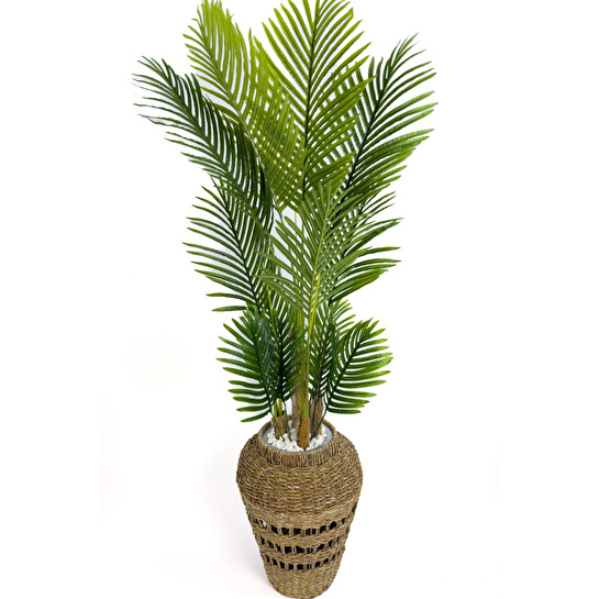 Biçiçek Luxury Areka Palmiyesi 180cm Hasır Saksıda Bohem3