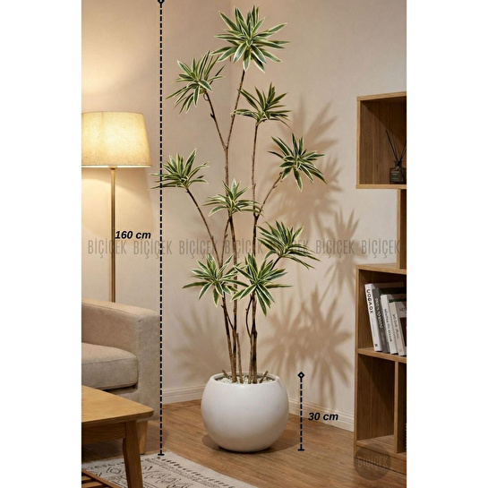 Biçiçek 160 Cm Dragon Bitkisi Yapay Dracaena Küre Saksıda Beyaz1