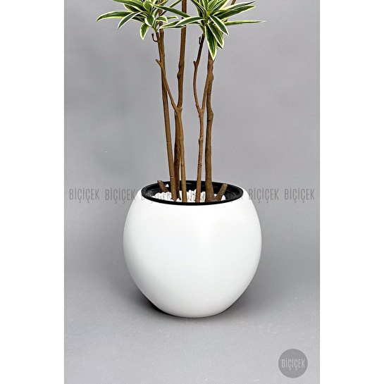 Biçiçek 160 Cm Dragon Bitkisi Yapay Dracaena Küre Saksıda Beyaz1