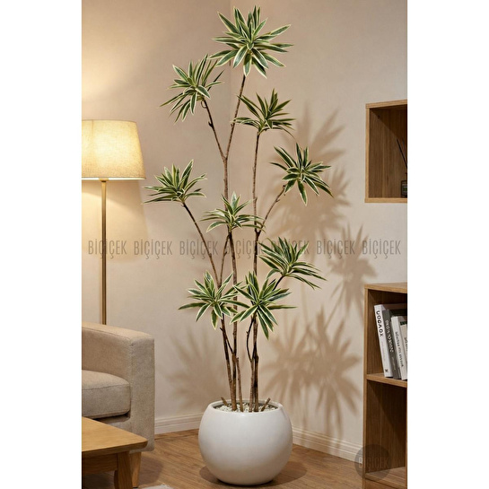 Biçiçek 160 Cm Dragon Bitkisi Yapay Dracaena Küre Saksıda Beyaz1
