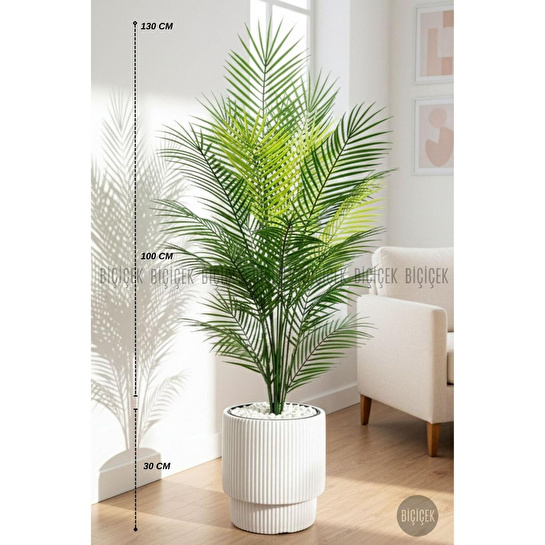 Biçiçek Areka Ağaci 24 Yaprakli 120-130 Cm Beyaz