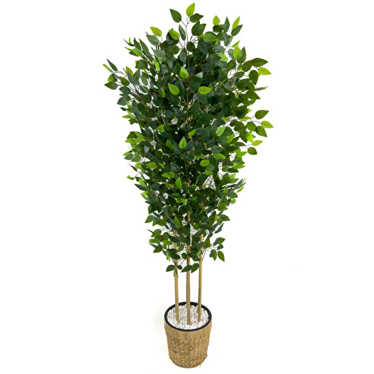 Biçiçek Yapay Benjamin Ağacı 170 Cm Hasır Saksıda