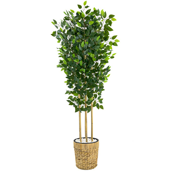 Biçiçek Yapay Benjamin Ağacı 170 Cm Hasır Saksıda