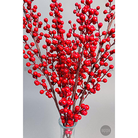 Biçiçek Koki̇na 80 Cm 108 Meyveli̇ Yilbaşi Bi̇tki̇si̇ Tek Dal