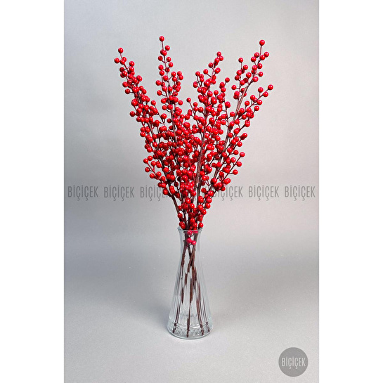 Biçiçek Koki̇na 80 Cm 108 Meyveli̇ Yilbaşi Bi̇tki̇si̇ Tek Dal