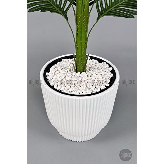 Biçiçek Yapay Areka Ağacı 160-180 Cm Beyazgala180cm