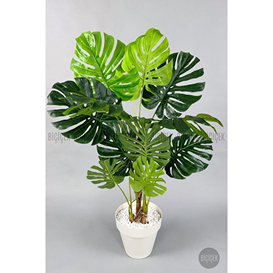 Biçiçek Yapay Ağaç Monstera Bambu Gövdeli 150cm Devetabanı Ağacı Büyük Boy Kırıkbeyaz Renk Yalı Saksıda