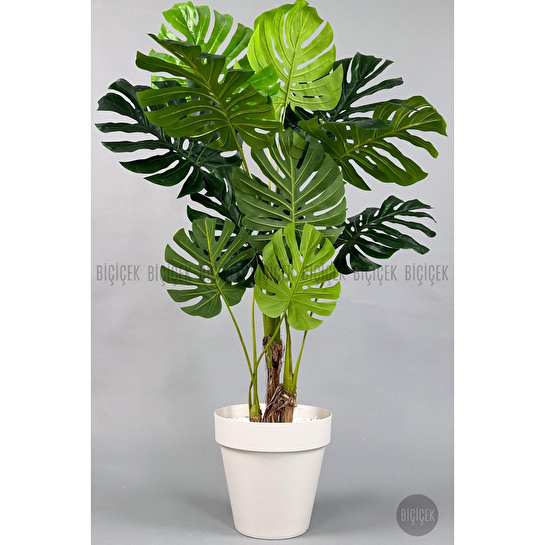 Biçiçek Yapay Ağaç Monstera Bambu Gövdeli 150cm Devetabanı Ağacı Büyük Boy Kırıkbeyaz Renk Yalı Saksıda