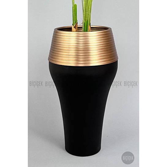 Biçiçek 220cm Starliçe Bitkisi Cleopatra Saksıda Siyah Gold