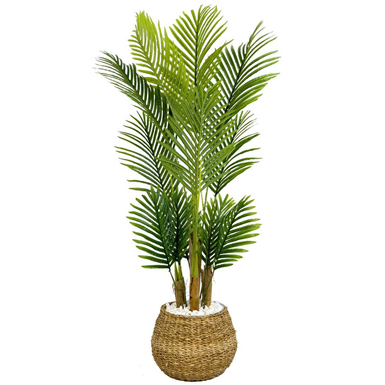 Biçiçek Areka Palmiyesi 130cm Geoit Hasır Saksıda
