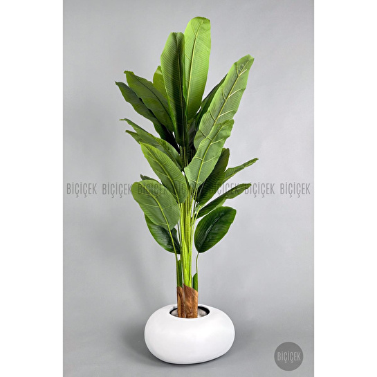 Biçiçek Yapay Muz Ağacı 185-220 Cm Beyaz1