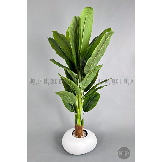 Biçiçek Yapay Muz Ağacı 185-220 Cm Beyaz1