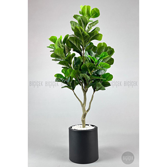 Biçiçek Keman Yapraklı Kauçuk Bitkisi Fiddle Lyrata Metal Saksı Siyah-150cm