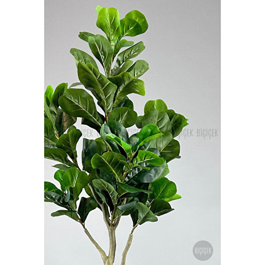 Biçiçek Keman Yapraklı Kauçuk Bitkisi Fiddle Lyrata Metal Saksı Siyah-150cm