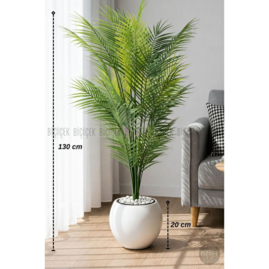 Biçiçek Areka Ağaci 24 Yaprakli 130 Cm Küre Saksida Beyaz