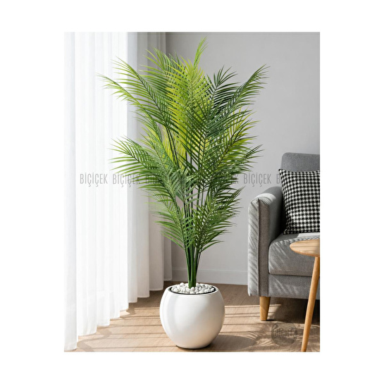 Biçiçek Areka Ağaci 24 Yaprakli 130 Cm Küre Saksida Beyaz