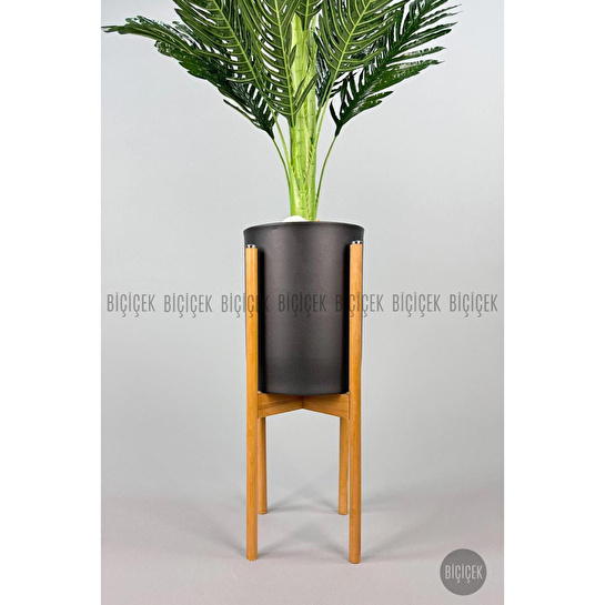 Biçiçek 150cm Areka Ağacı Ayaklı Metal Saksıda 5
