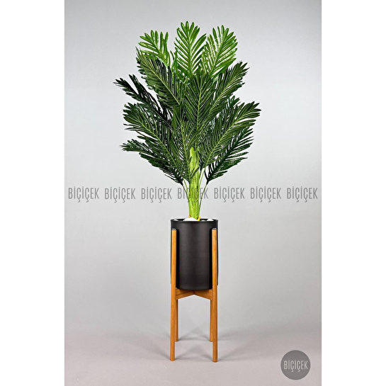 Biçiçek 150cm Areka Ağacı Ayaklı Metal Saksıda 5