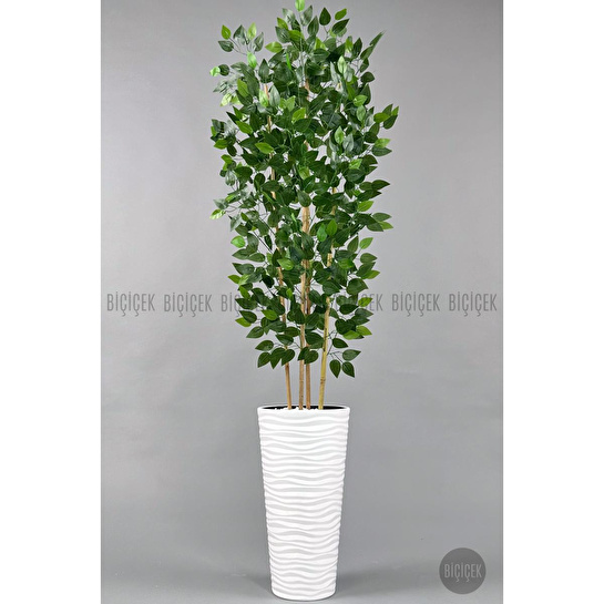 Biçiçek Yapay Benjamin Ağacı 180cm Yoğun Yapraklı Bambu Gövdeli Beyaz Renk Kumsal Saksıda