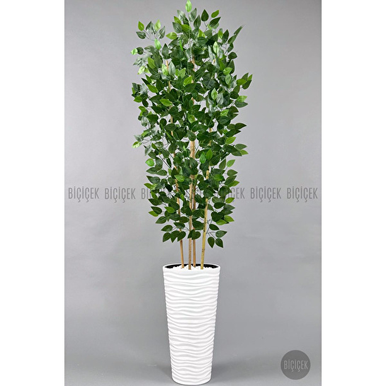 Biçiçek Yapay Benjamin Ağacı 180cm Yoğun Yapraklı Bambu Gövdeli Beyaz Renk Kumsal Saksıda