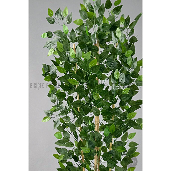 Biçiçek Yapay Benjamin Ağacı 180cm Yoğun Yapraklı Bambu Gövdeli Beyaz Renk Kumsal Saksıda