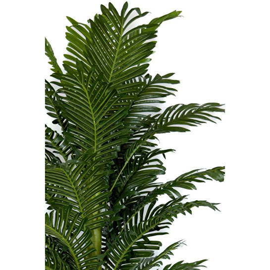 Biçiçek Areka Palmiyesi 170cm Metal Siyah Gold Darbuka Saksıda