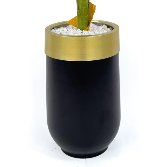 Biçiçek Areka Palmiyesi 170cm Metal Siyah Gold Darbuka Saksıda