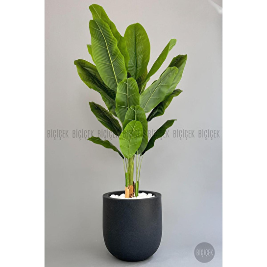 Biçiçek Yapay Muz Ağacı 200 Cm Lux Dış Mekan Saksıda 1