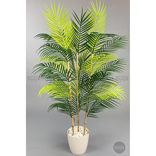 Biçiçek 115cm Areka Ağacı 24 Yapraklı Yakut Saksıda 1