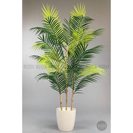 Biçiçek 115cm Areka Ağacı 24 Yapraklı Yakut Saksıda 1