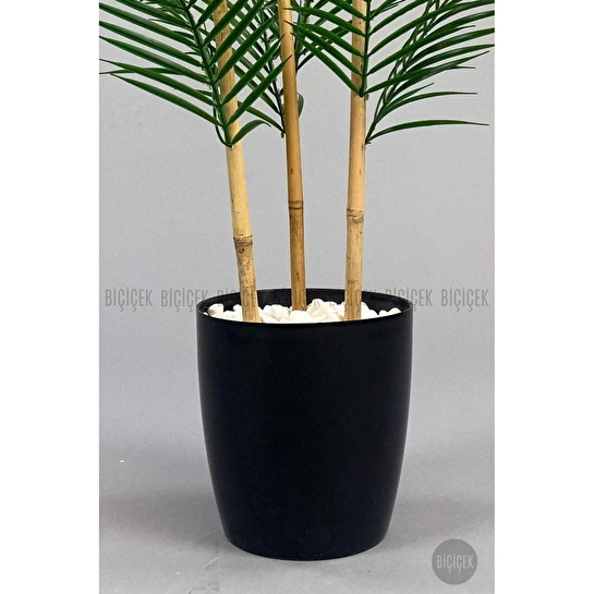 Biçiçek 115cm Areka Ağacı 24 Yapraklı Yakut Saksıda 2