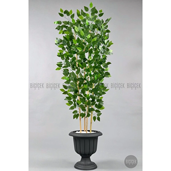 Biçiçek Yapay Benjamin Ağacı 170cm Yoğun Yapraklı Bambu Gövdeli Antrasit Renk Nergis Saksıda