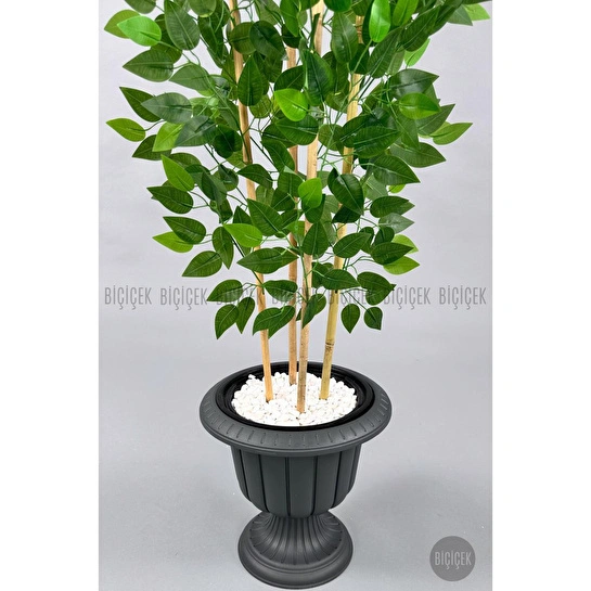 Biçiçek Yapay Benjamin Ağacı 170cm Yoğun Yapraklı Bambu Gövdeli Antrasit Renk Nergis Saksıda