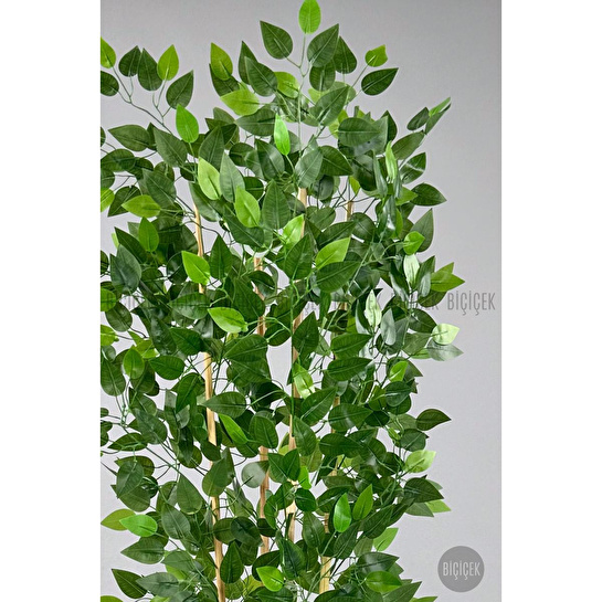 Biçiçek Yapay Benjamin Ağacı 170cm Yoğun Yapraklı Bambu Gövdeli Antrasit Renk Nergis Saksıda