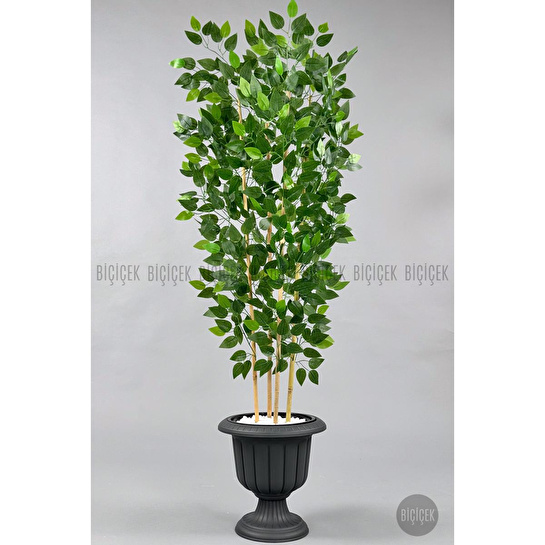 Biçiçek Yapay Benjamin Ağacı 170cm Yoğun Yapraklı Bambu Gövdeli Antrasit Renk Nergis Saksıda