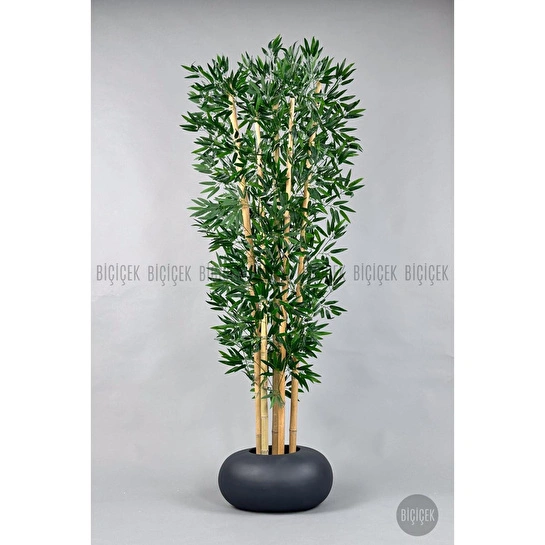 Biçiçek Zen Bambu Ağacı 220-240 Cm Fiber Saksıda Grifiber1