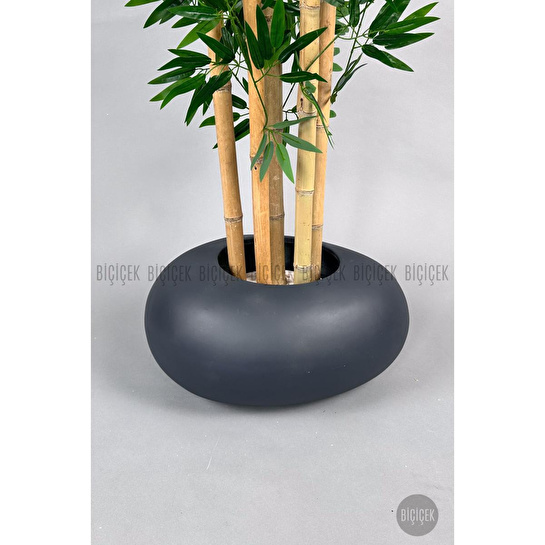 Biçiçek Zen Bambu Ağacı 220-240 Cm Fiber Saksıda Grifiber1