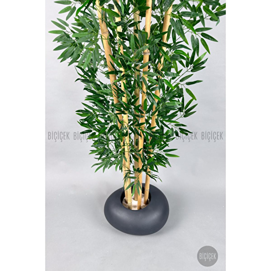 Biçiçek Zen Bambu Ağacı 220-240 Cm Fiber Saksıda Grifiber1