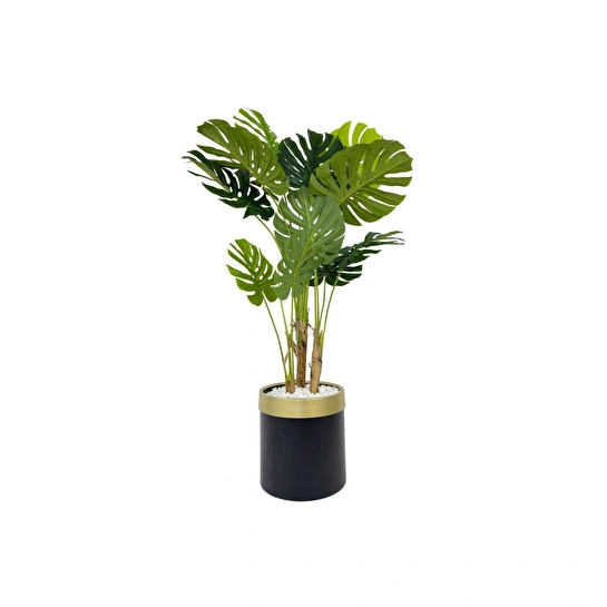 Biçiçek Monstera Ağacı 160cm Siyah Gold Metal Saksıda