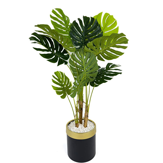 Biçiçek Monstera Ağacı 160cm Siyah Gold Metal Saksıda