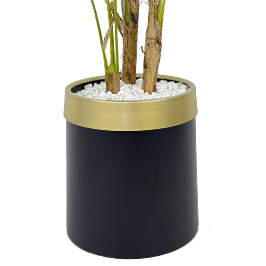 Biçiçek Monstera Ağacı 160cm Siyah Gold Metal Saksıda